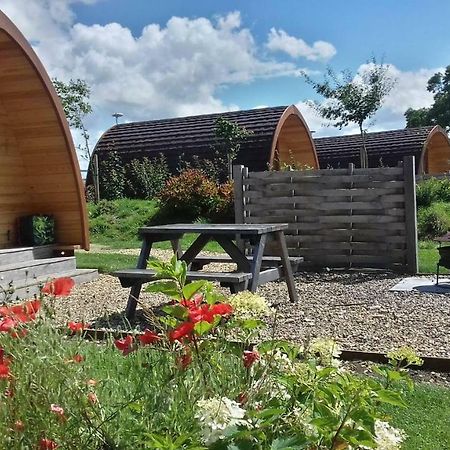 Buttercup Glamping Pod Hotel Cheltenham Bagian luar foto