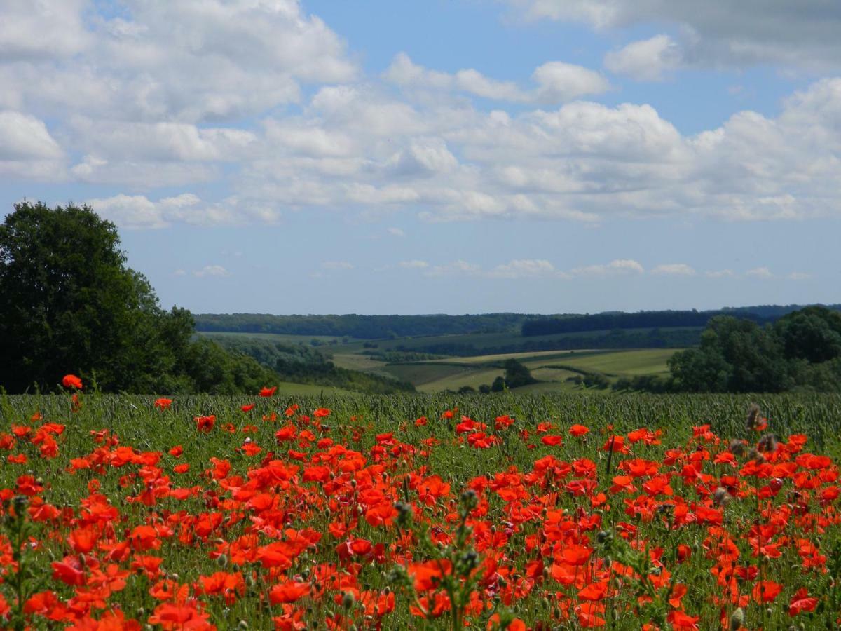 Buttercup Glamping Pod Hotel Cheltenham Bagian luar foto